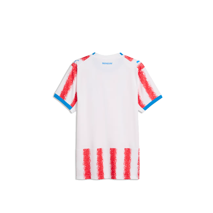 PUMA M APF HOME JERSEY