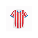 PUMA M PARAGUAY HOME JERSEY PRO