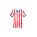 PUMA M APF HOME JERSEY