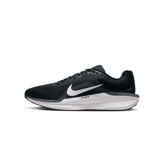 NIKE WMNS AIR WINFLO 11
